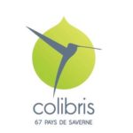 Vendredi 7 juin, Les Facilitateurs d'Alsace ont aidé les Colibris 67 Pays de Saverne à préparer leur futur forum ouvert.