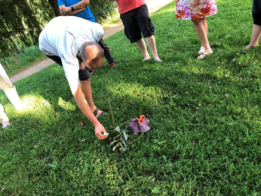 25 juin 2019, Parc de la Citadelle à Strasbourg : Pique-nique Parlote des Facilitateurs d'Alsace